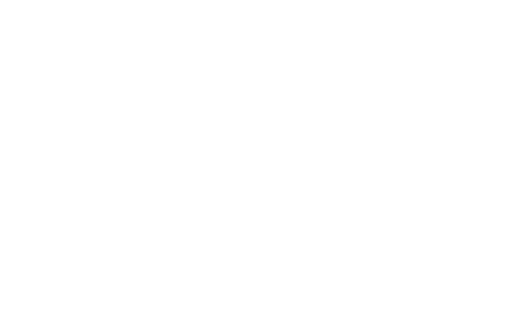 Ziegler Musik & Technik